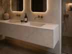 Double Wash Basin